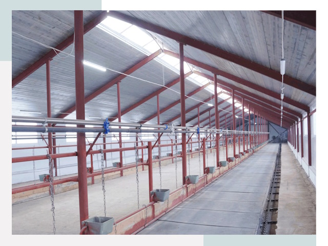 Строительство коровников в Лянторе от 614 руб.