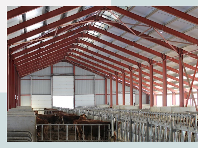 Строительство коровников в Лянторе