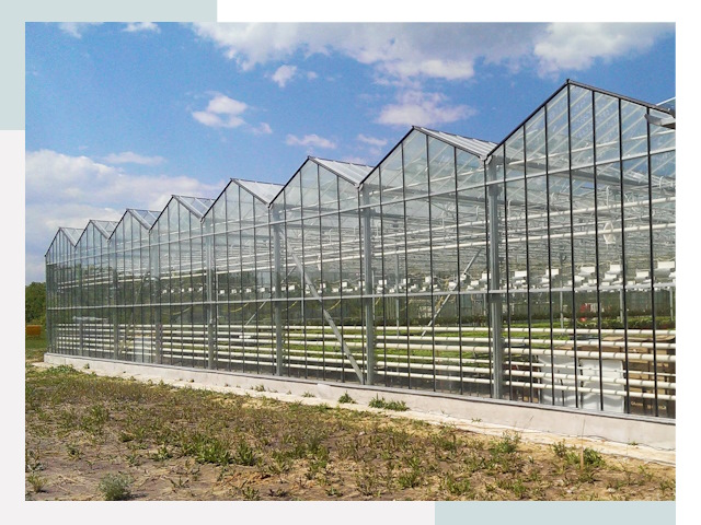 Строительство теплиц в Лянтор от 614 руб. за м²